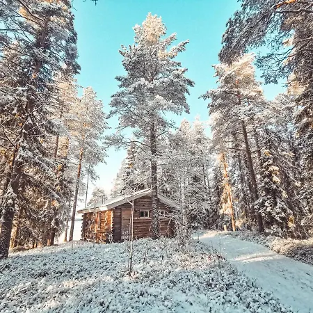 Taigaschool Eco מלון Virrankyla