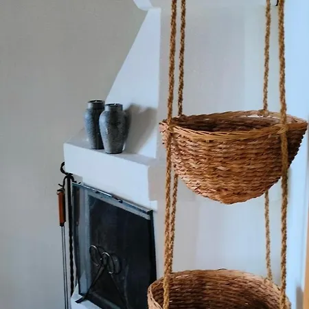 Taigaschool Eco מלון