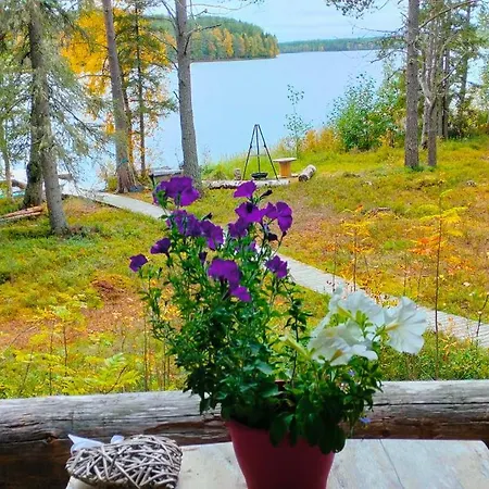 Taigaschool Eco Hotelli Virrankyla