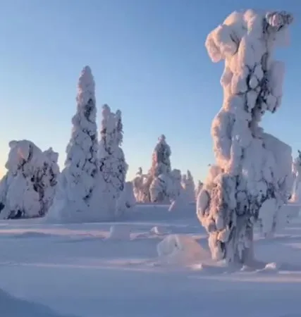 Hotelli Taigaschool Eco Virrankyla