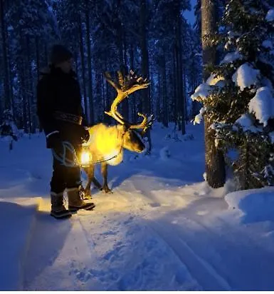 Taigaschool Eco מלון