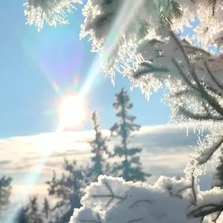 Hotelli Taigaschool Eco