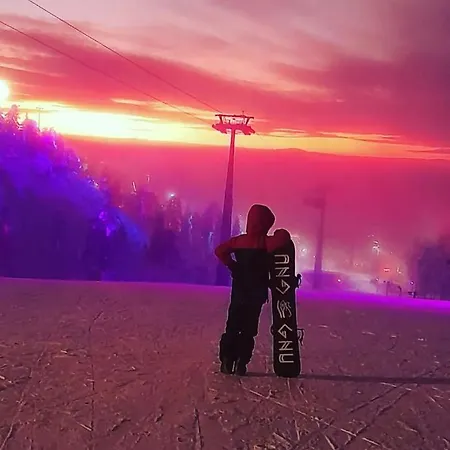 Taigaschool Eco מלון