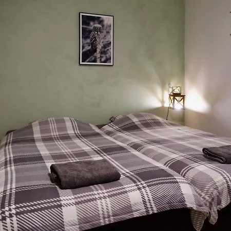 Hotel Taigaschool Eco 5*