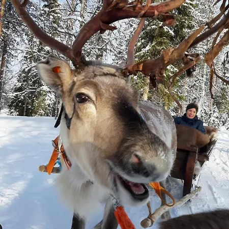 Taigaschool Eco Hotelli Virrankyla