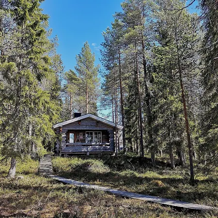Taigaschool Eco 5*