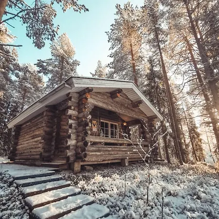 Taigaschool Eco Hotelli 5*