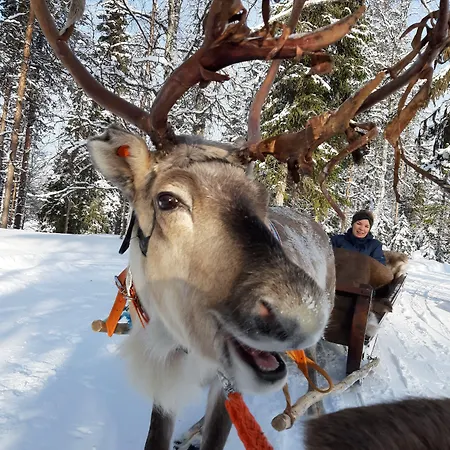 מלון Taigaschool Eco