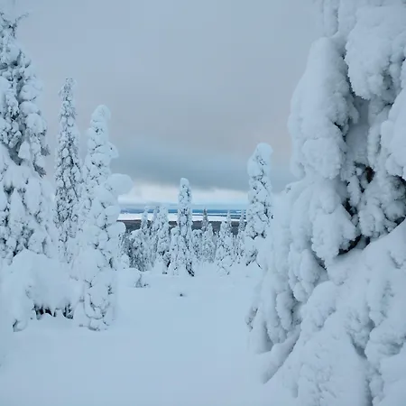 Taigaschool Eco Virrankyla