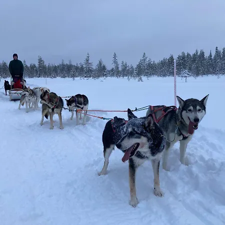 Taigaschool Eco Szálloda 5*